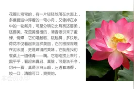 三年级我的植物朋友作文，《荷花》的写作思路与方法视频封面