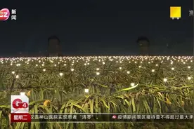 广州：火龙果树深夜“充电”还能促生长！这是什么原理？视频封面