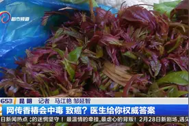 网传香椿会中毒 致癌？医生给你权威答案视频封面