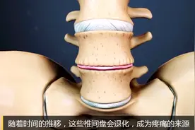 【3D动画课堂】脊柱的解剖结构与功能视频封面