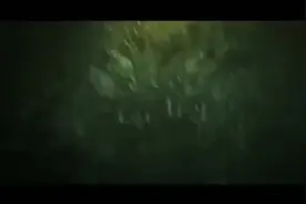 关于密码，你知道多少？图片