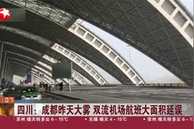 成都双流机场昨日航班大面积延误，甚至启动橙色预警，咋回事？视频封面