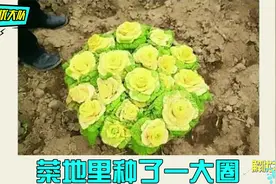情人节收到这些奇葩花束，这花拿到能直接去涮火锅了吧？视频封面