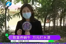 本想养蜗牛致富，不料万元投资打了水漂，女子急哭了……视频封面