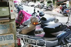 流浪狗在门口乱拉屎，已经是第3次，网友们有什么办法防止狗乱拉视频封面