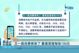 快抢！山东又一拨消费券来了，最高面值每张100元，领取方式看这视频封面
