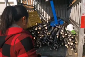 兰妹：批了两千多斤甘蔗叫卖，一个喇叭一把称，这种卖法头一次视频封面