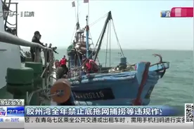 海上执法！青岛胶州湾全面禁止底拖网捕捞等违规作业视频封面