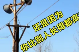 河南村长暴躁喊话合集！各地村长硬核抄作业，够狠够无情视频封面