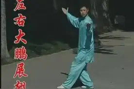 武当八卦掌(老八掌)全套动作教学（适合初学者） 标清视频封面
