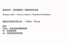 28.量化投资领域的阿尔法alpha 贝塔beta 夏普比率sharp视频封面