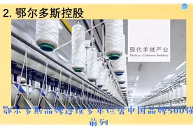 华北经济重镇内蒙古的超大民营企业有多强你知道吗？超过你预期！视频封面