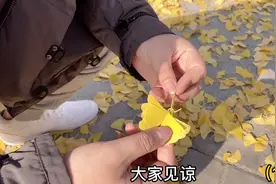 4个月宝宝在家闹，在户外就特别好睡。你家的宝宝也这样吗？视频封面