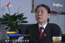 因嫌疑人销售伪劣种子，导致农民损失达百万，法院判有期徒刑八年视频封面