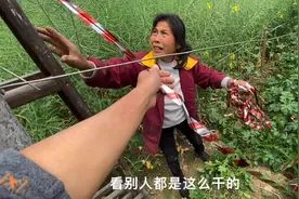 田里的油菜被鸟偷吃，装上这种驱鸟器，小鸟都不敢靠近了视频封面