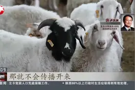 兰州兽医研究所：多人布鲁氏菌检测结果呈阳性，这是一种什么病？视频封面