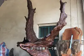 老李收藏十几年的乌木要价150万，你们说值不值？视频封面