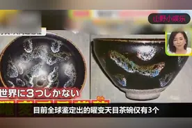 大师级？日本节目专家鉴定的“曜变天目茶碗”遭到中国大姐打脸！视频封面