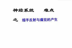 缩手反射与痛觉的产生