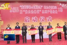 永福县率先投放“党员先锋贷”，6名基层党员获贷款，解燃眉之急视频封面