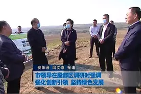 市领导在殷都区调研时强调 强化创新引领 坚持绿色发展视频封面