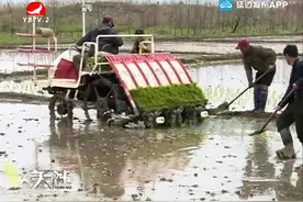 散装汽油该如何购买视频封面