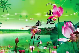 《小池》杨万里—中小学必背古诗词视频封面