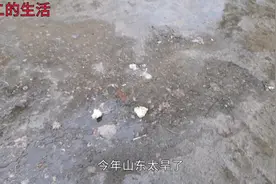 山东济宁终于下雨了，能缓解旱情吗？40多天没有降雨了视频封面