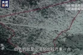 真相调查：建光伏电站砍沙漠10万棵树？视频封面