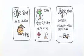 三年级昆虫备忘录怎么画视频封面