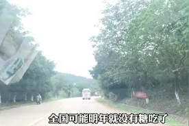 论种甘蔗，广西全国排第二没人敢称第一，甜了全国，却很少人知道视频封面