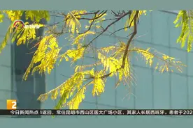 热！三月我省气温偏高 较常年偏高1.8度视频封面