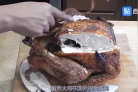 美国火鸡又肥又大，为啥在中国却被嫌弃？切开一看就知道了！视频封面