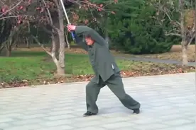 【武林采风】太极梅花螳螂剑-山东潍坊曹建民(武术七段)演练视频封面