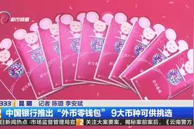 中国银行推出“外币零钱包” 9大币种可供挑选视频封面