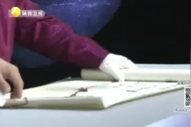华山论鉴：藏友花1万买的书法，如果是林散之真迹，百万不成问题视频封面