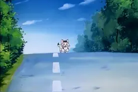 小贝流浪记【 两只猫咪 下】，小贝被“捡”到带走 与妈妈分离视频封面