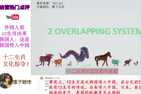 科普系列二：12生肖的传说。韩国人：这是韩国4000年前传入中国的视频封面