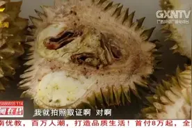 女子市场上买榴莲，剥开发现芯都是黑的，批发商竟坚称是正常现象视频封面
