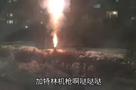 过年放炮，东北爷们亲眼所见，这炮像加特林机枪一样，快成武器了视频封面