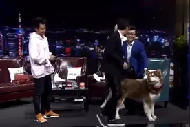 王思聪带王可可上节目，可可被训练的很听话！视频封面