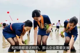 青岛航空回应空乘穿制服下地插秧视频封面