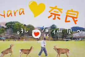 【跟小伞去日本旅行吧5】用鹿仙贝逗鹿不成反被鹿踹的惊恐时刻