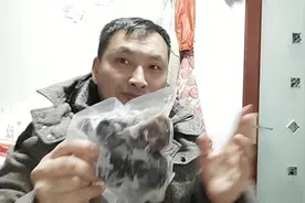模仿翔翔试吃冻梨  真的好爽 世界上最好吃的水果视频封面