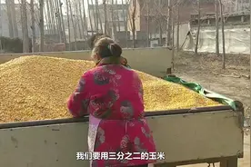 自己制作猪饲料，需要一些什么材料？今天就把我的配方告诉大家！视频封面