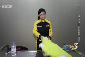 真相123：酒精使身上着火时该怎么办？自救方法大揭秘，快来看视频封面
