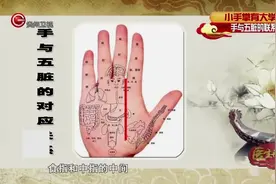 医生开讲：手掌与身体五脏息息相连，听专家给你细细讲解视频封面