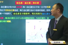 血液系统基础知识05血色素、血红素、胆红素的组成及作用视频封面