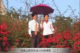 百色山歌：壮族山歌百色龙川壮族情歌（二）视频封面