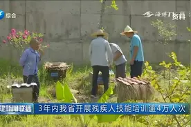 福建省10个村获评中国美丽休闲乡村，看看有你们村吗？视频封面